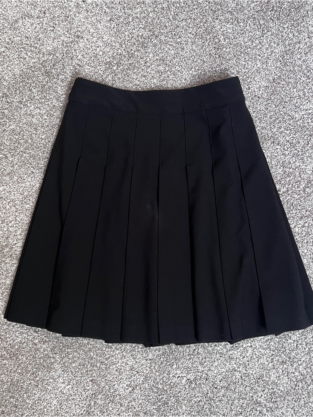 Aritzia Sunday Best Mini Pleated Skirt